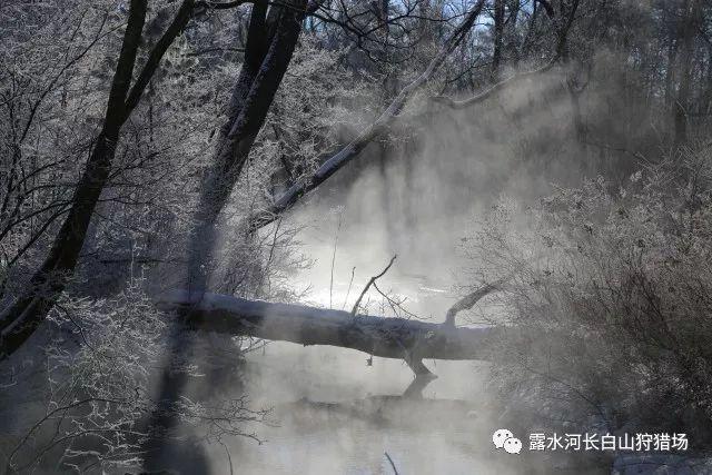 2023年1月1日是星期日那么2023年2月1日是星期几呢? - 探索无界限的知识宝库