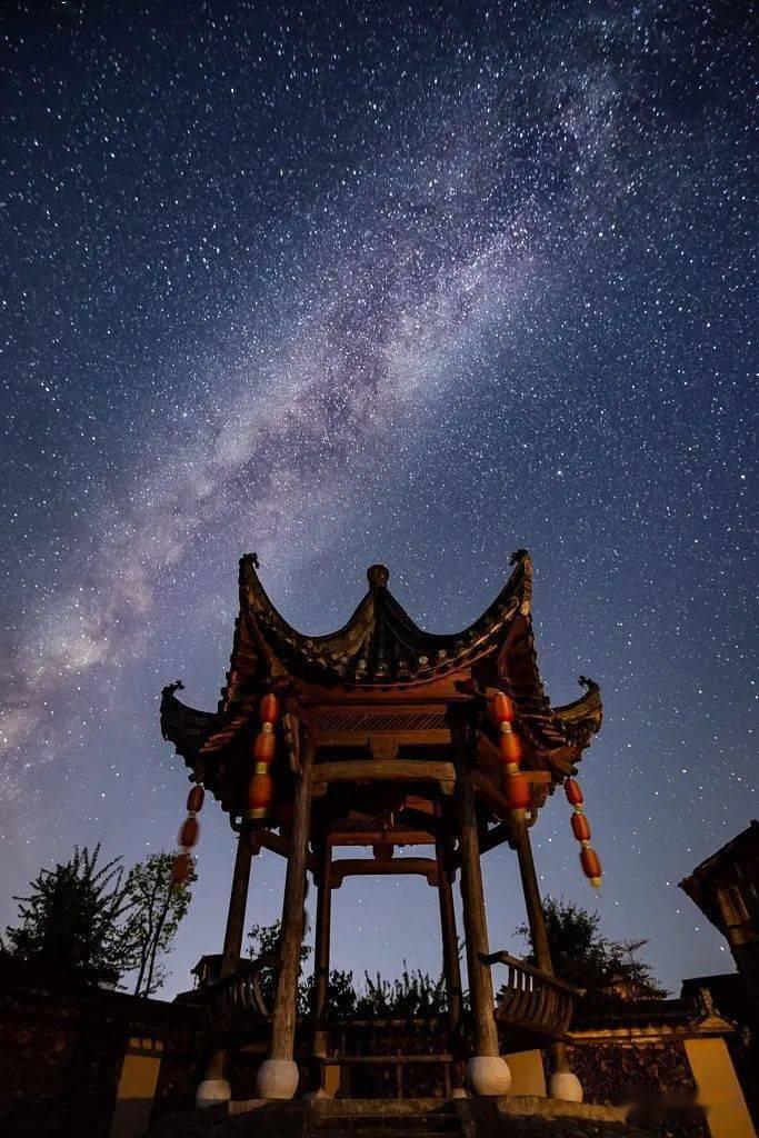 恐龙神奇宝贝无限金币钻石版-专业解答你的问题